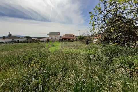 Villa i Cadaval, Lisbon, Cadaval - € 260.000 | Ref: 1343 - foto 43
