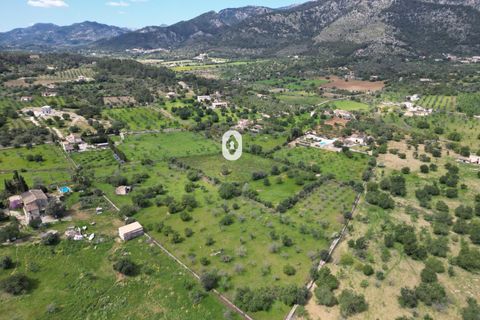 Helårsgrund i Selva, Mallorca, Selva - € 395.000 | Ref: P001650/10684 - foto 16