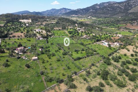 Helårsgrund i Selva, Mallorca, Selva - € 395.000 | Ref: P001650/10684 - foto 17