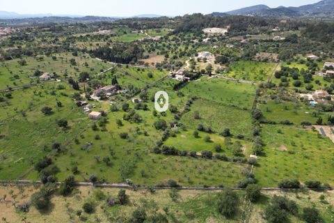 Helårsgrund i Selva, Mallorca, Selva - € 395.000 | Ref: P001650/10684 - foto 19