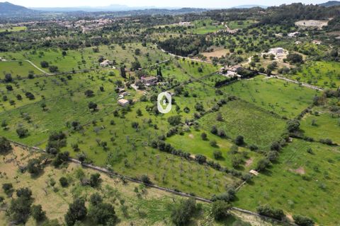 Helårsgrund i Selva, Mallorca, Selva - € 395.000 | Ref: P001650/10684 - foto 20