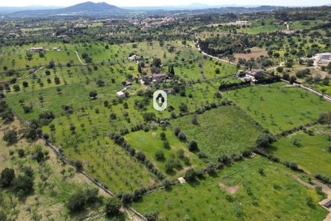 Helårsgrund i Selva, Mallorca, Selva - € 395.000 | Ref: P001650/10684 - foto 21