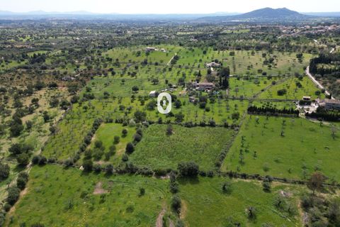Helårsgrund i Selva, Mallorca, Selva - € 395.000 | Ref: P001650/10684 - foto 22