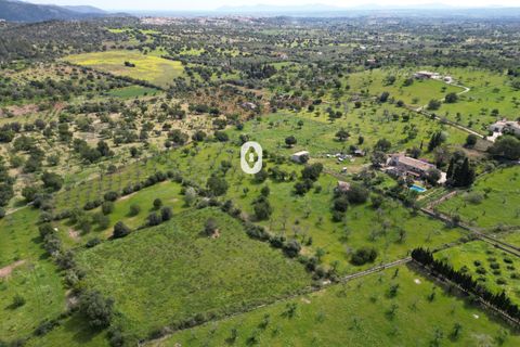 Helårsgrund i Selva, Mallorca, Selva - € 395.000 | Ref: P001650/10684 - foto 23