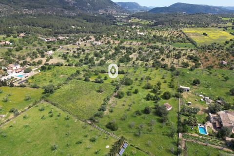 Helårsgrund i Selva, Mallorca, Selva - € 395.000 | Ref: P001650/10684 - foto 24