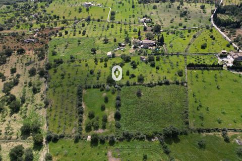Helårsgrund i Selva, Mallorca, Selva - € 395.000 | Ref: P001650/10684 - foto 26