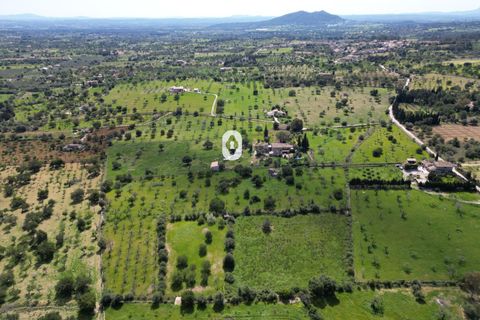 Helårsgrund i Selva, Mallorca, Selva - € 395.000 | Ref: P001650/10684 - foto 27