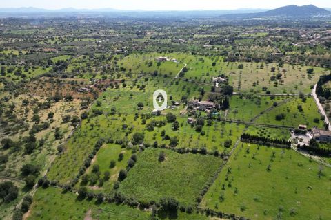 Helårsgrund i Selva, Mallorca, Selva - € 395.000 | Ref: P001650/10684 - foto 28