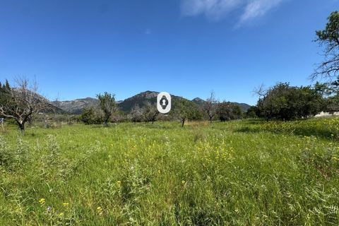 Helårsgrund i Selva, Mallorca, Selva - € 395.000 | Ref: P001650/10684 - foto 29