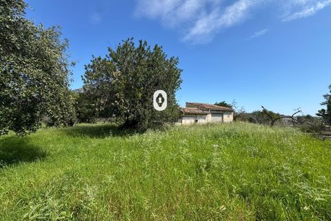 Helårsgrund i Selva, Mallorca, Selva - € 395.000 | Ref: P001650/10684 - foto 30