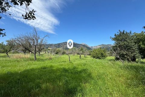 Helårsgrund i Selva, Mallorca, Selva - € 395.000 | Ref: P001650/10684 - foto 31