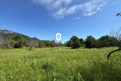 Helårsgrund i Selva, Mallorca, Selva - € 395.000 | Ref: P001650/10684 - foto 33