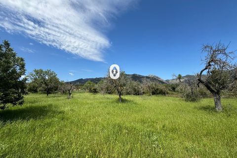 Helårsgrund i Selva, Mallorca, Selva - € 395.000 | Ref: P001650/10684 - foto 35