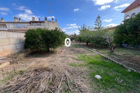 Terreno en Inca, Mallorca, Inca - € 265.000 | Ref: P002380/10684 - photo 2