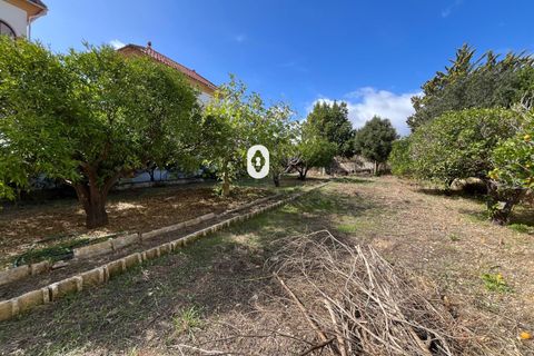 Terreno en Inca, Mallorca, Inca - € 265.000 | Ref: P002380/10684 - photo 6