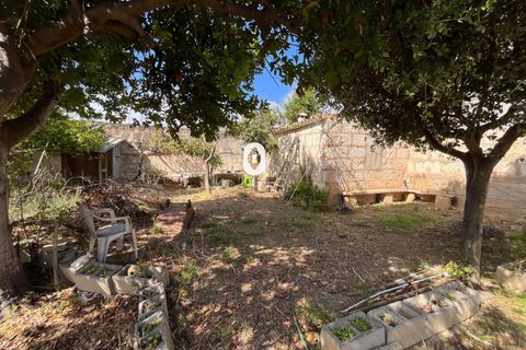 Terreno en Inca, Mallorca, Inca - € 265.000 | Ref: P002380/10684 - photo 8