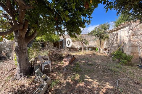 Terreno en Inca, Mallorca, Inca - € 265.000 | Ref: P002380/10684 - photo 12