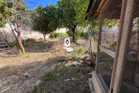 Terreno en Inca, Mallorca, Inca - € 265.000 | Ref: P002380/10684 - photo 16