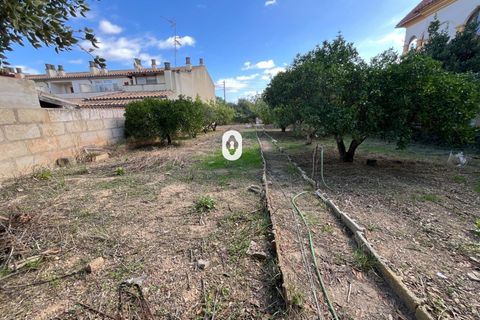 Terreno en Inca, Mallorca, Inca - € 265.000 | Ref: P002380/10684 - photo 17