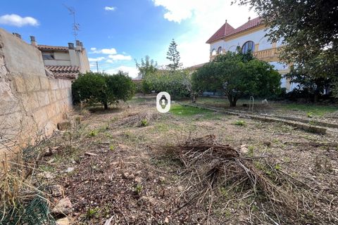 Terreno en Inca, Mallorca, Inca - € 265.000 | Ref: P002380/10684 - photo 18