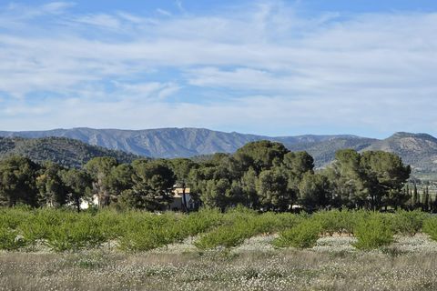 Helårsgrund i Monovar, Alicante, Monovar - € 44.995 | Ref: 1017 - foto 2