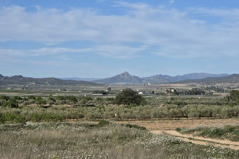 Helårsgrund i Monovar, Alicante, Monovar - € 44.995 | Ref: 1017 - foto 6