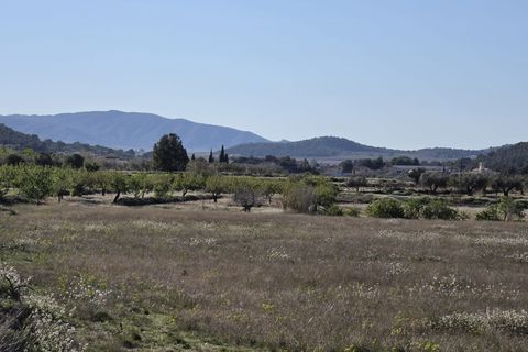 Helårsgrund i Monovar, Alicante, Monovar - € 44.995 | Ref: 1017 - foto 12