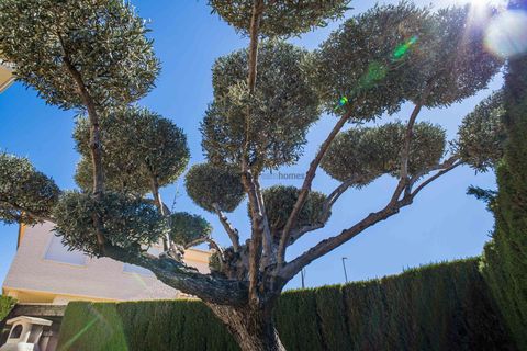 Villa en Elda, Alicante, Elda - € 430.000 | Ref: ANN-R173 - photo 8