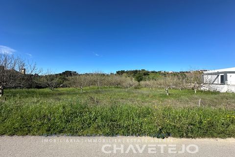 Terra a Tomar, Santarem, Tomar - € 49.000 | Ref: 603/26 - foto 6