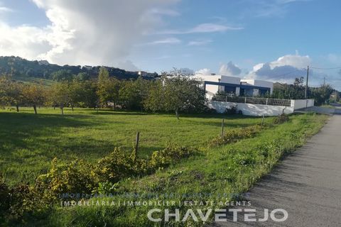 Terra a Tomar, Santarem, Tomar - € 49.000 | Ref: 603/26 - foto 7
