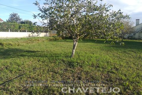 Terra a Tomar, Santarem, Tomar - € 49.000 | Ref: 603/26 - foto 8