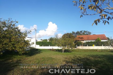 Terra a Tomar, Santarem, Tomar - € 49.000 | Ref: 603/26 - foto 9