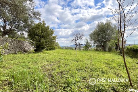 Villa a Selva, Mallorca, Selva - € 710.000 | Ref: 83414 - foto 24