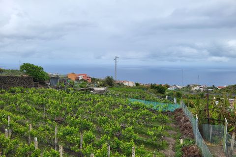 Villa i Icod, Tenerife, Icod - € 275.000 | Ref: KPTC1930 - foto 17