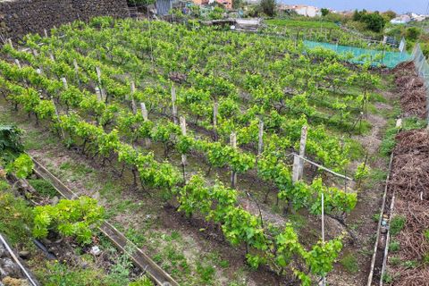 Villa i Icod, Tenerife, Icod - € 275.000 | Ref: KPTC1930 - foto 18