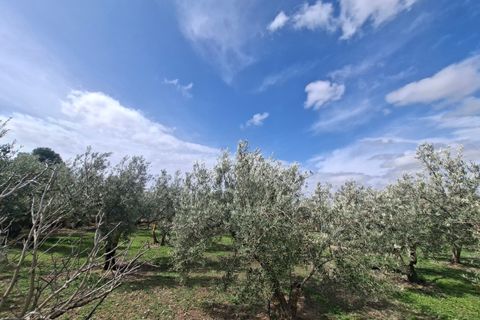 Landejendom i Freila, Granada, Freila - € 239.000 | Ref: IZ-652-G - foto 23