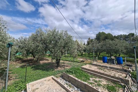 Landejendom i Freila, Granada, Freila - € 239.000 | Ref: IZ-652-G - foto 24