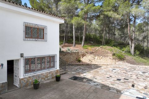 Villa i Monovar, Alicante, Monovar - € 499.500 | Ref: IZ-673-EXIZ - foto 45