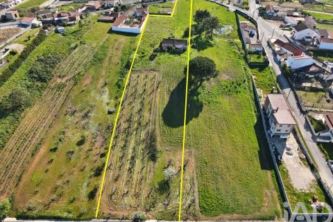 Byhus i Cadaval, Lisbon, Cadaval - € 325.000 | Ref: 849417 - foto 2