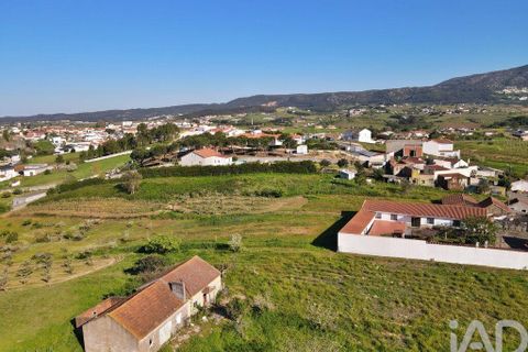 Byhus i Cadaval, Lisbon, Cadaval - € 325.000 | Ref: 849417 - foto 5