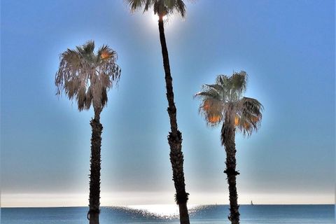 Villa i Orihuela, Alicante, Orihuela - € 450.000 | Ref: C-1180 - foto 36