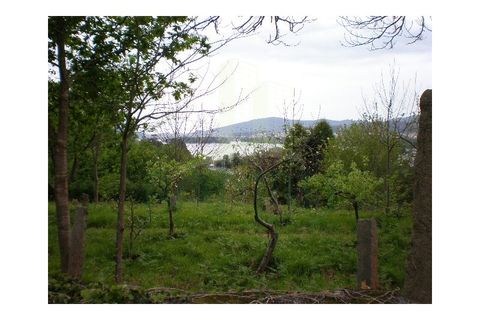 Helårsgrund i Viana do Castelo, Viana do Castelo, Viana do Castelo - € 350.000 | Ref: B0388 - foto 21