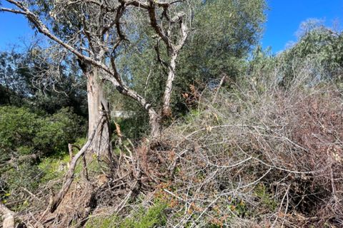 Helårsgrund i Javea, Alicante, Javea - € 189.000 | Ref: CRES06 - foto 7