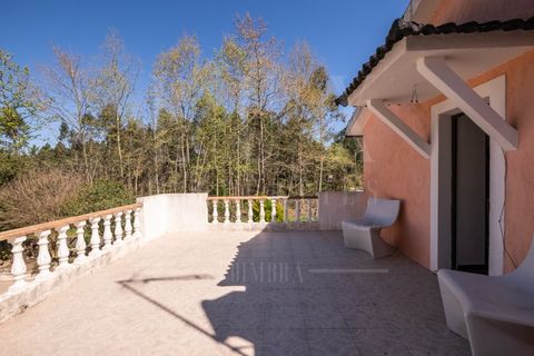 Farm i Coimbra, Coimbra, Coimbra - € 630.000 | Ref: LUX_CB-01304 - foto 13