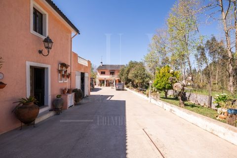 Farm i Coimbra, Coimbra, Coimbra - € 630.000 | Ref: LUX_CB-01304 - foto 43