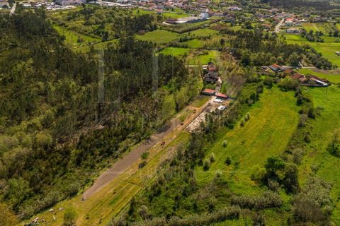 Farm i Coimbra, Coimbra, Coimbra - € 630.000 | Ref: LUX_CB-01304 - foto 50