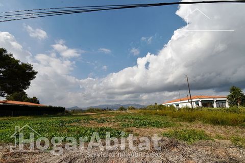 Terra a Grao De Moncofar, Castellon, Grao De Moncofar - € 140.000 | Ref: 115XSL-SER140.O-A/3716 - foto 7