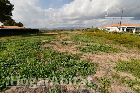 Terra a Grao De Moncofar, Castellon, Grao De Moncofar - € 140.000 | Ref: 115XSL-SER140.O-A/3716 - foto 8