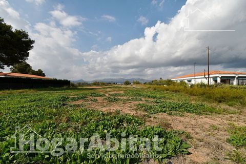 Terra a Grao De Moncofar, Castellon, Grao De Moncofar - € 140.000 | Ref: 115XSL-SER140.O-A/3716 - foto 9