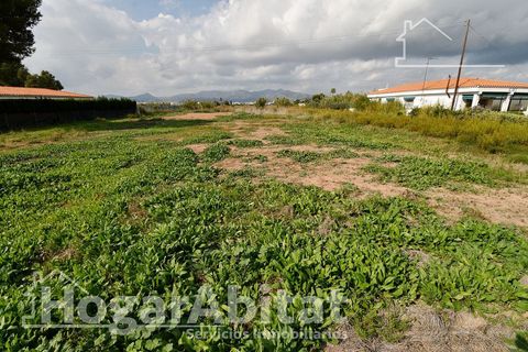 Terra a Grao De Moncofar, Castellon, Grao De Moncofar - € 140.000 | Ref: 115XSL-SER140.O-A/3716 - foto 10